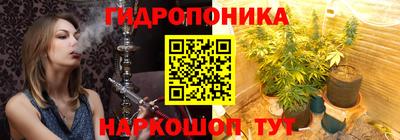 спайс Баксан
