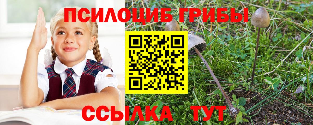 Белая Калитва  Галлюциногенные грибы прущие грибы  Вход с VPN 